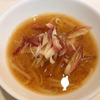 モヤシとみょうがの☆生姜たっぷり味噌汁